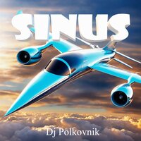 Sinus